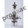 FOCO 12V 35/35W BASE P43T