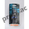 FOCO 9004 12V 65/45W P29T (AZUL)(31829)