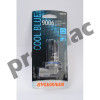 FOCO 9006CB 12V 55W (COOL BLUE) (31519)