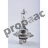 FOCO H7 12V 55W 50% MAS LUZ
