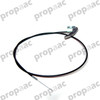 CHICOTE COFRE POINTER 98-02 (BRUCK)