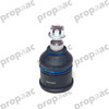 ROTULA ACCORD 08-12 INF (BRUCK)