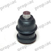 ROTULA NEON 00-06 SPIRIT SHADOW INF