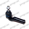 TERMINAL DIR FOCUS 12-18 DER (BRUCK)
