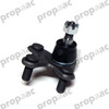 ROTULA CIVIC 16-20 (BRUCK)