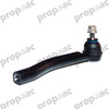 TERMINAL DIR SENTRA 13-19 DER
