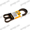 BANDA SERPENTIN JETTA 14-15 2.0 LTS