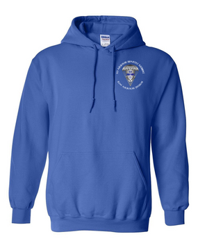 325th AIR Embroidered Hooded Sweatshirt-M