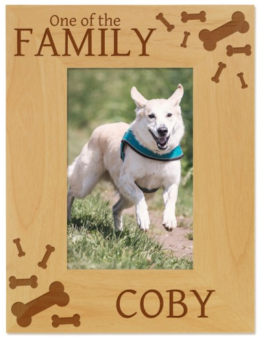 personalized pet frame, personalized dog picture frame