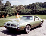 1974 Pontiac Firebird Sport Coupe Poster