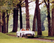  1959 Chevrolet Corvette Convertible Poster