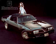 1977 Pontiac Firebird Trans Am Coupe Poster