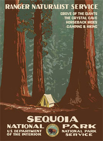 Sequoia National Park Poster