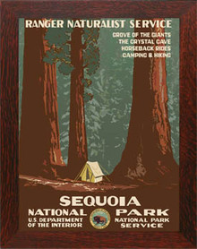 Sequoia National Park Framed Poster