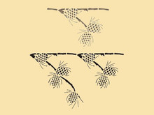 Pine Cone 6 X 10