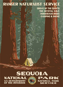 Copy of Sequoia National Park Poster