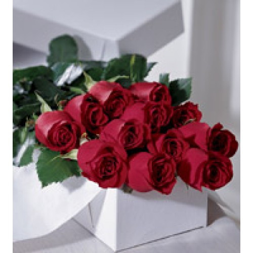 12 Red Roses Gift Boxed Rine S Florist