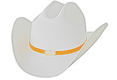 SHANTUNG 100X, DURANGO SHAPE.