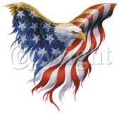 T Shirt Spread Eagle USA Flag