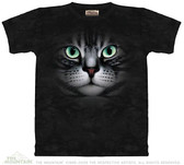 Cats Eyes