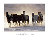 David R. Stoecklein Paints in the Snow