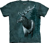 ELK IN THE FIELD WATCHING NIGHT FALL