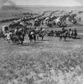 Huge Wagon Train Point  Photograph 8x10 Of The Old West