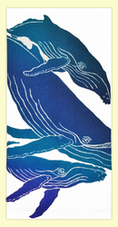 SKU#HHumpback
Hand screen printed by Hawaii artist Janet Holaday on Oahu, Hawaii. This beautifully colored pod of Hawaiian Humpback Whales towel is printed on 100% woven cotton using environmentally friendly inks. Measures 18" x 30." Makes a great addition to any kitchen!