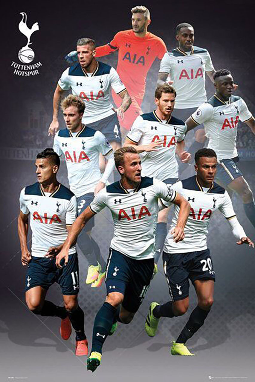 Poster Tottenham Hotspur FC - Players 15/16 | Wall Art, Gifts & Merchandise  