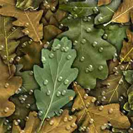 ArtScape Oak Leaves Pool Table Cloth