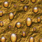 ArtScape Gold Drops Pool Table Cloth