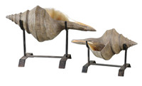 Conch Shell, Sculpture, Set Of 2