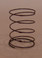 AV2520652 Spring