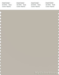 PANTONE SMART 14-4501X Color Swatch Card, Silver Lining