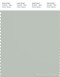 PANTONE SMART 14-4502X Color Swatch Card, Mercury