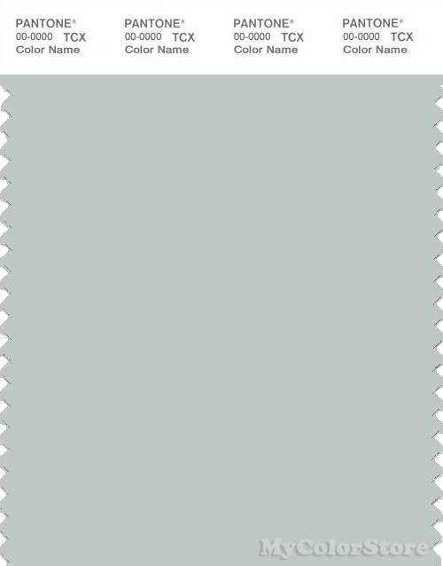 PANTONE SMART 14-4505X Color Swatch Card, Smoke