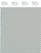 PANTONE SMART 14-4804X Color Swatch Card, Blue Fox