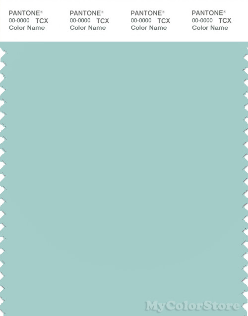 PANTONE SMART 14-4809X Color Swatch Card, Eggshell Blue