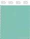 PANTONE SMART 14-5413X Color Swatch Card, Holiday