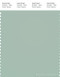 PANTONE SMART 14-5706X Color Swatch Card, Grayish Green