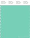 PANTONE SMART 14-5718X Color Swatch Card, Opal