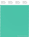 PANTONE SMART 14-5721X Color Swatch Card, Electric