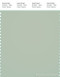PANTONE SMART 14-6007X Color Swatch Card, Sea Foam