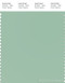 PANTONE SMART 14-6011X Color Swatch Card, Jade Gray