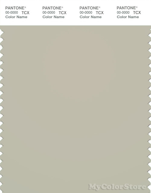 PANTONE SMART 14-6305X Color Swatch Card, Pelican