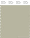 PANTONE SMART 14-6308X Color Swatch Card, Alfalfa