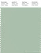 PANTONE SMART 14-6312X Color Swatch Card, Cameo Green