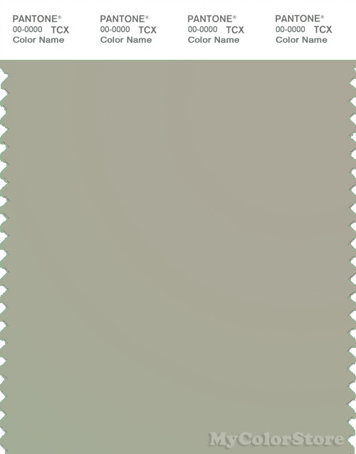 PANTONE SMART 14-6408X Color Swatch Card, Abbey Stone