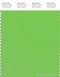 PANTONE SMART 15-0146X Color Swatch Card, Green Flash