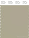 PANTONE SMART 15-0309X Color Swatch Card, Spray Green